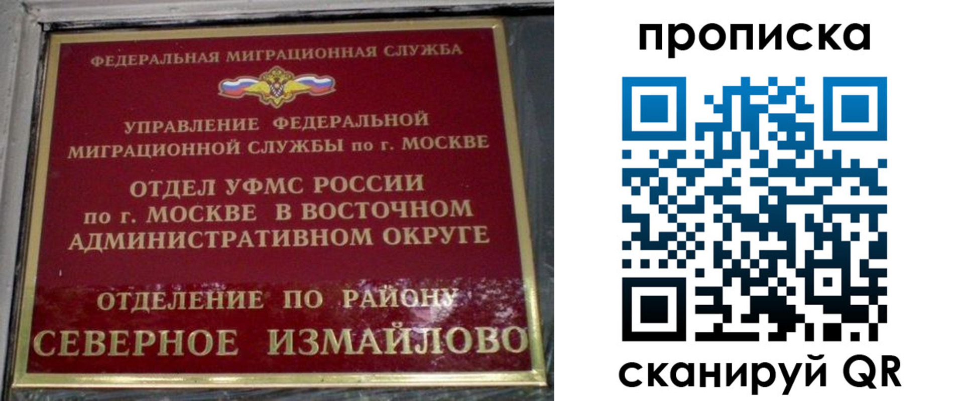 купить прописку в Калининградской области